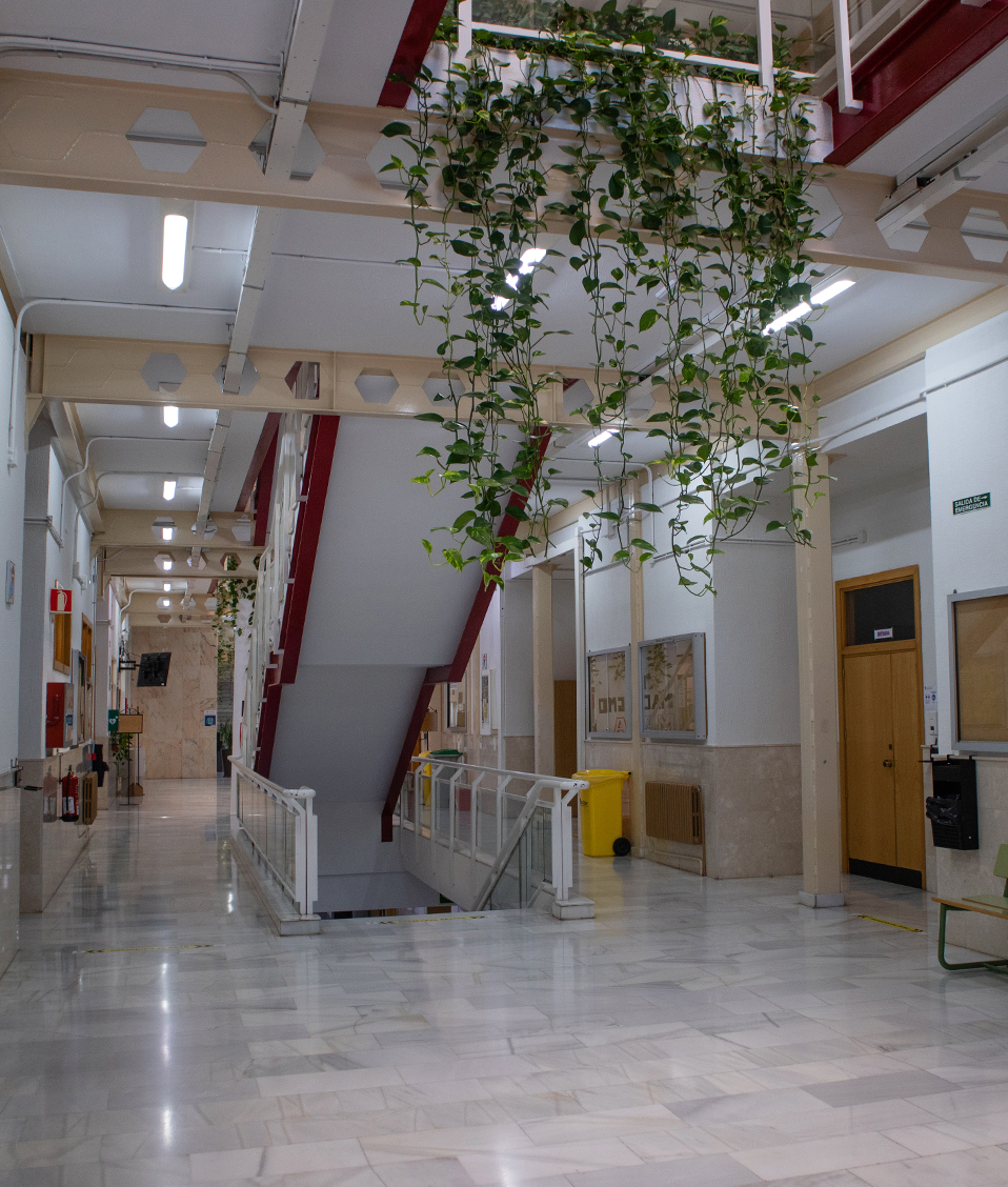 Interior de la facultad, con las escaleras y bancos